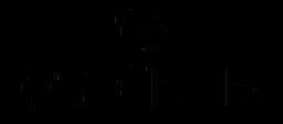 Essentia logo